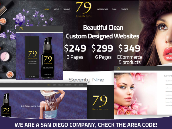 Affordable Web Design Services